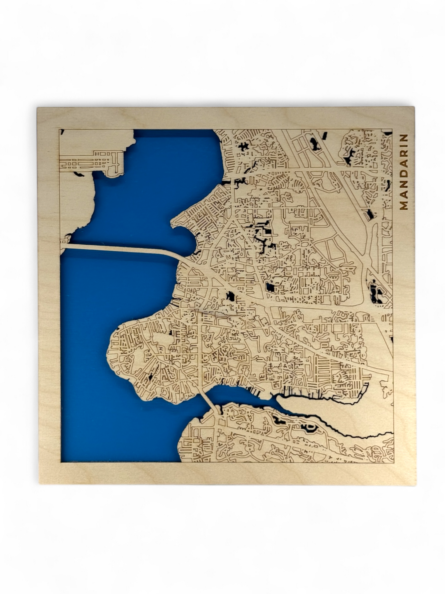 Mandarin, Jacksonville Florida Mini Map